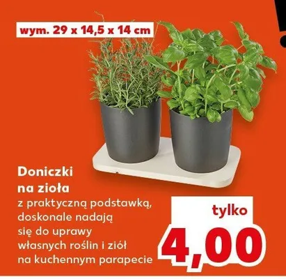 Doniczki na zioła z podstawką Kaufland promocja w Kaufland