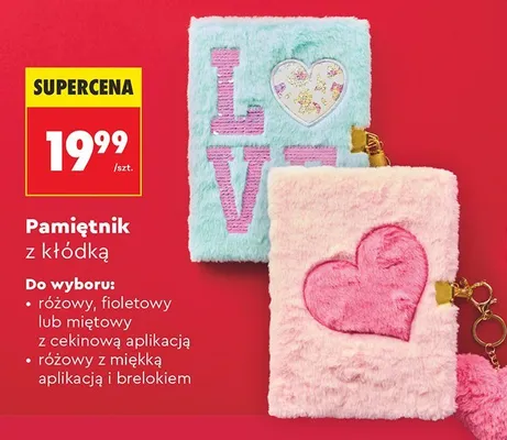 Pamiętnik z kłódką różne rodzaje promocja w Biedronka