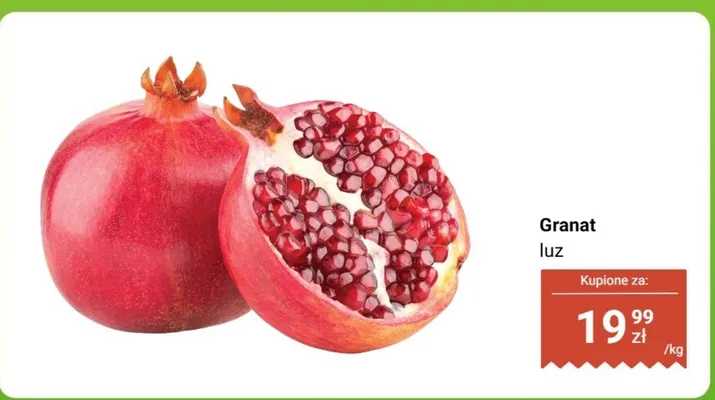 Granat luz Dino promocja