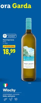 Wino promocja w Lidl