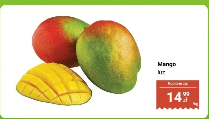 Mango luz Dino promocja w Dino
