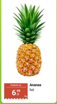 Ananas luz Dino promocja