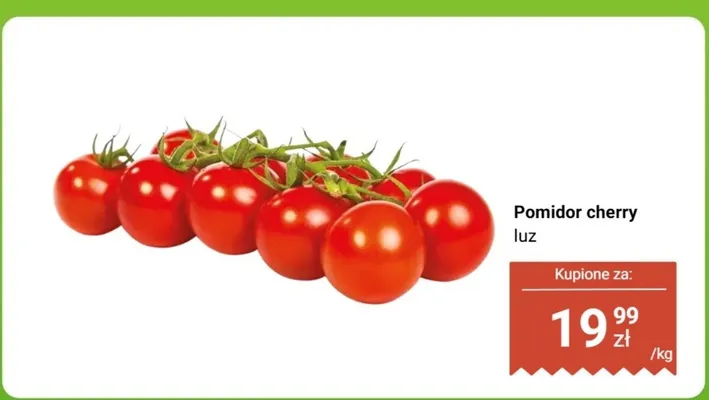 Pomidor cherry luz Dino promocja w Dino