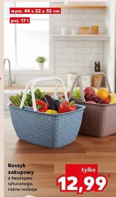 Koszyk zakupowy z tworzywa sztucznego, różne rodzaje Kaufland promocja w Kaufland