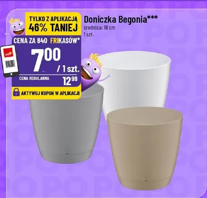 Doniczka Begonia 18 cm promocja w POLOmarket