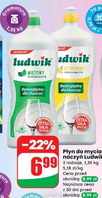 Płyn do mycia naczyń Ludwik  promocja w Dino
