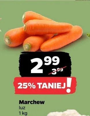 Marchew promocja w Netto