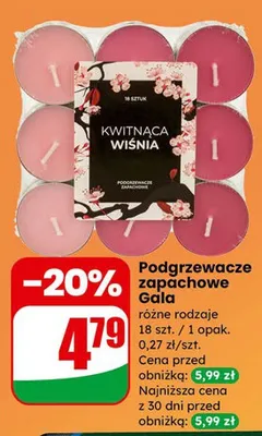 Podgrzewacze zapachowe Gala promocja w Dino