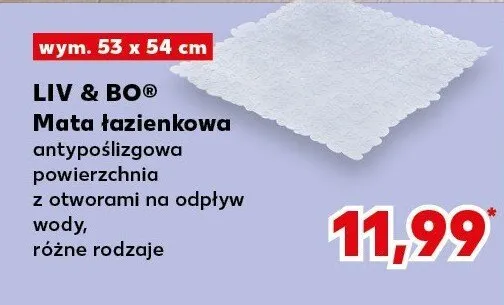 Mata łazienkowa antypoślizgowa powierzchnia z otworami na odpływ wody, różne rodzaje Liv & Bo promocja w Kaufland