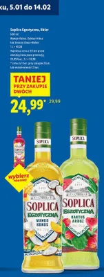 Likier promocja w Lidl