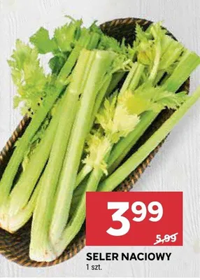 Seler naciowy Stokrotka promocja w Stokrotka
