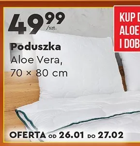 Poduszka Aloe Vera 70 x 80 cm promocja w Biedronka