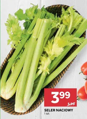 Seler naciowy 1szt. Stokrotka promocja w Stokrotka