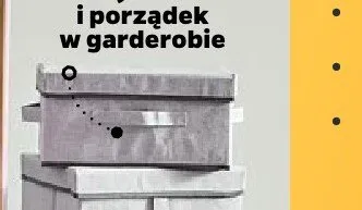 Organizer do przechowywania 32x22x16,5 cm promocja w Netto