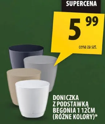 Doniczka z podstawką Begonia 2 12cm różne kolory promocja w Arhelan