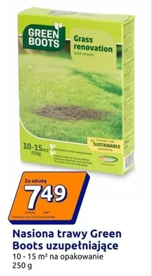 Nasiona trawy uzupełniające promocja w Action