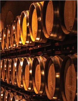 Smak Chill&Fun, strona 4 Makro promocja w Makro