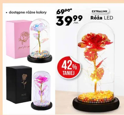 Róża LED promocja w Biedronka