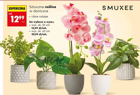 Sztuczna roślina w doniczce różne rodzaje wysokość ok. 25 cm Smukee promocja w Biedronka