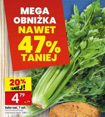 Seler nać, 1 szt. Twój Market promocja w Twój Market