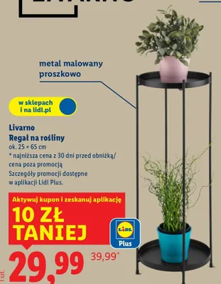 Regał na rośliny promocja w Lidl