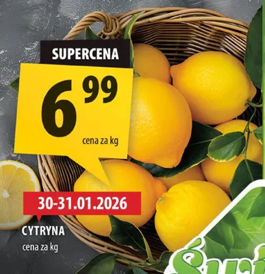 Cytryna promocja w Arhelan