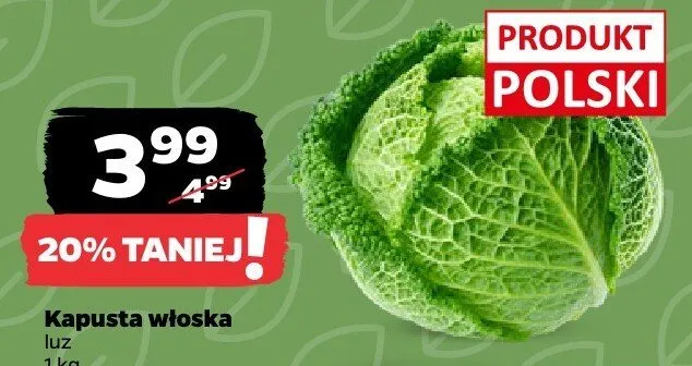 Kapusta włoska luz Netto promocja w Netto