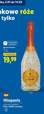 Wino promocja w Lidl