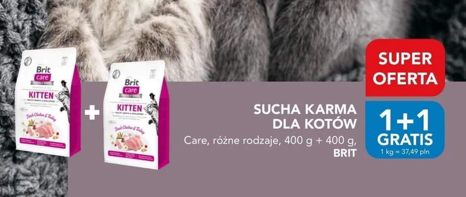 Sucha karma dla kotów Care Kitten promocja w Aquael zoo