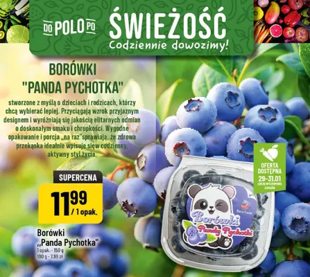 Borówki Panda Pychotka Berry Panda promocja w POLOmarket