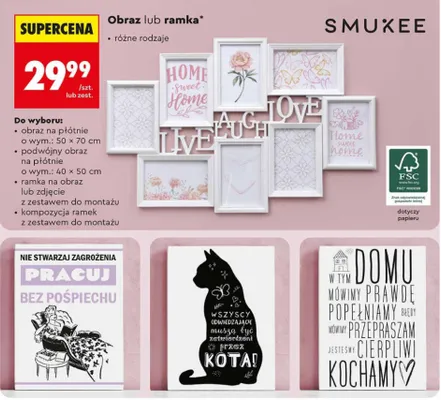 Obraz różne rodzaje Smukee promocja w Biedronka
