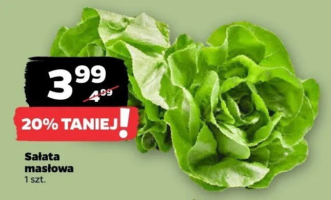 Sałata masłowa promocja w Netto
