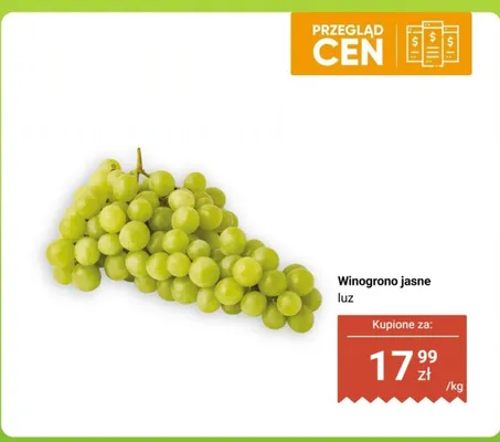 Winogrono jasne luz Dino promocja
