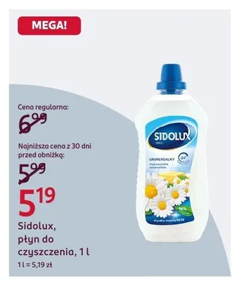 Płyn do czyszczenia, 1 l promocja w Rossmann