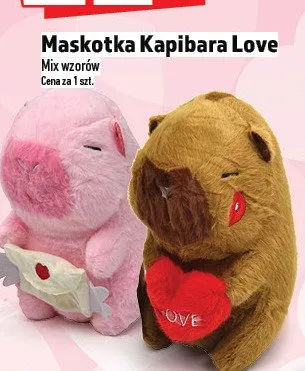 Maskotka Kapibara Love promocja w TOPAZ
