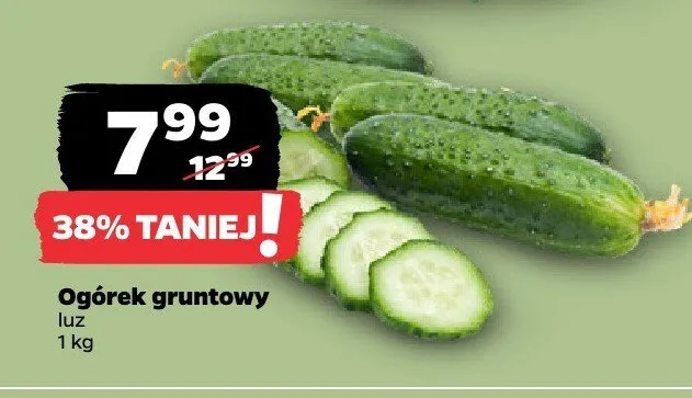 Ogórek gruntowy luz promocja w Netto