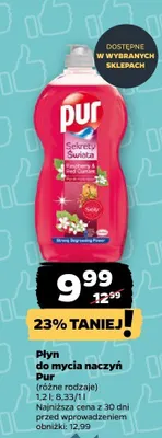 Płyn do mycia naczyń Pur różne rodzaje promocja w Netto