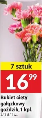 Bukiet cięty gałązkowy goździk promocja w Twój Market