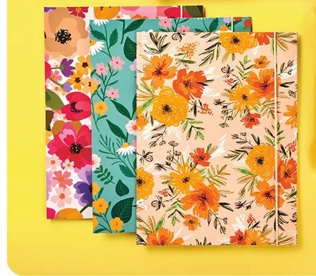 Teczki A4, 3 szt. promocja w Biedronka