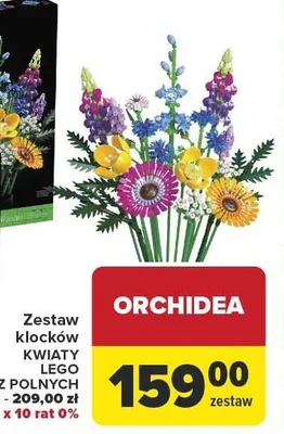 Zestaw klocków KWIATY Polne Lego promocja w Carrefour