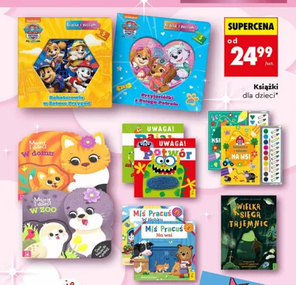 Książki dla dzieci, różne tytuły promocja w Biedronka