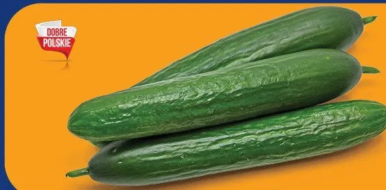 Ogórek szklarniowy promocja w TOPAZ