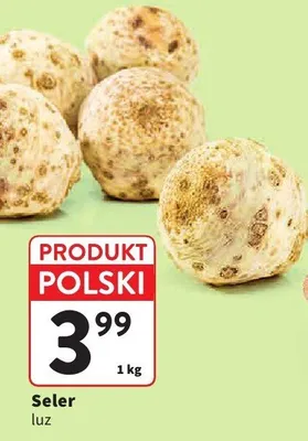 Seler luz Intermarche promocja w Intermarche