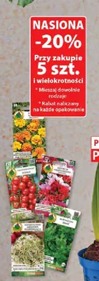 Nasiona - różne rodzaje kwiatów i warzyw promocja w Dino