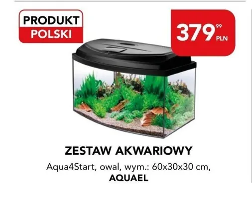 Zestaw akwariowy Aqua4Start, owal, wym.: 60x30x30 cm promocja w Aquael zoo