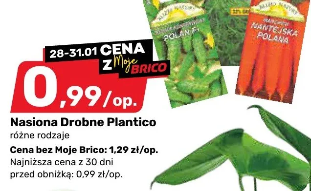 Nasiona Drobne Plantico różne rodzaje promocja w Bricomarche
