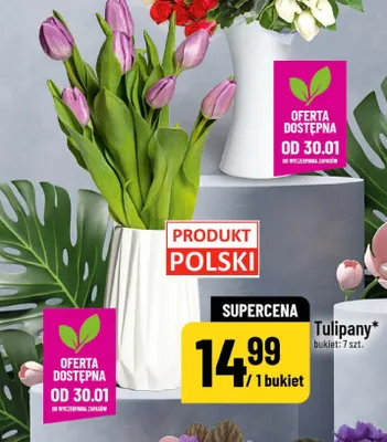 Tulipany bukiet 7 szt promocja w POLOmarket