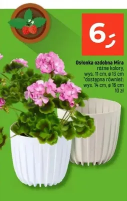 Osłonka ozdobna Mira różne kolory promocja w Dealz