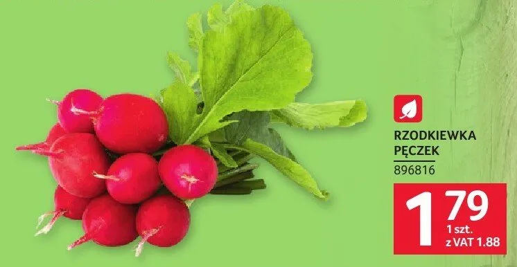 Rzodkiewka pęczek Selgros promocja w Selgros
