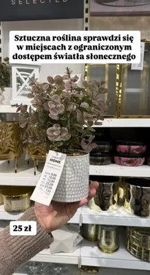 Roślina sztuczna w doniczce  promocja w Pepco